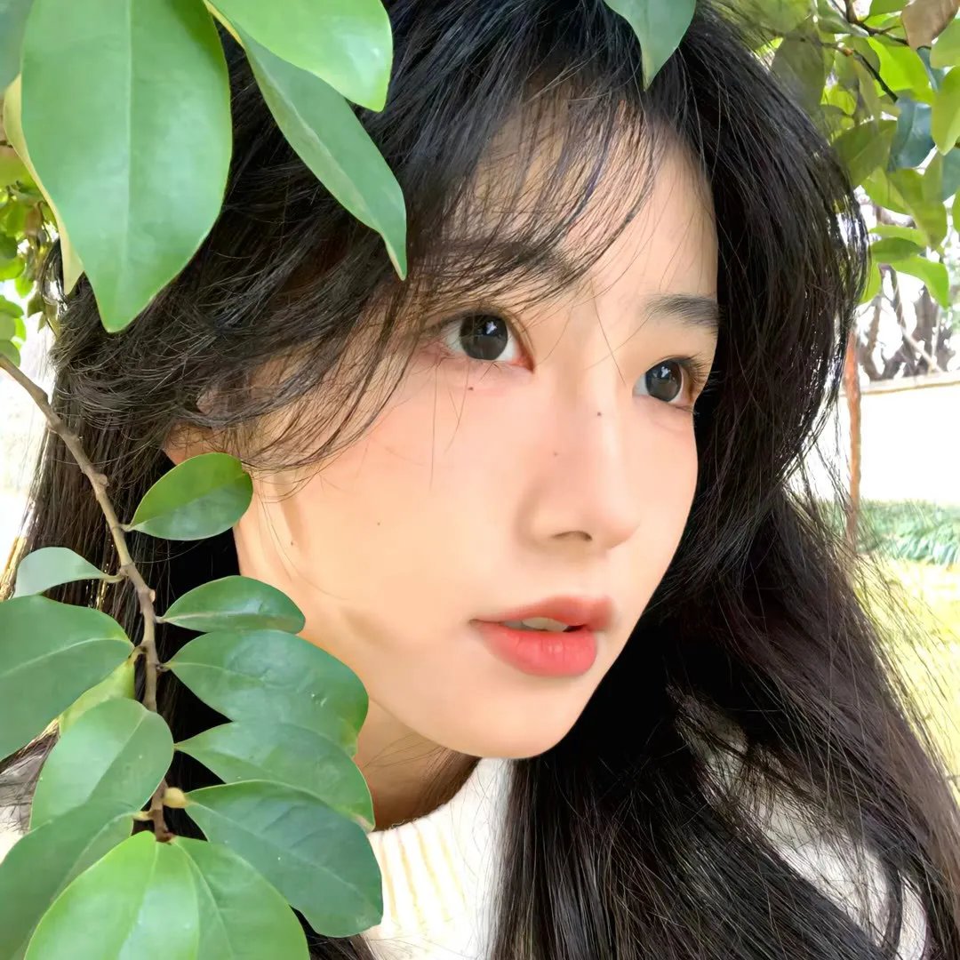 玉女情动